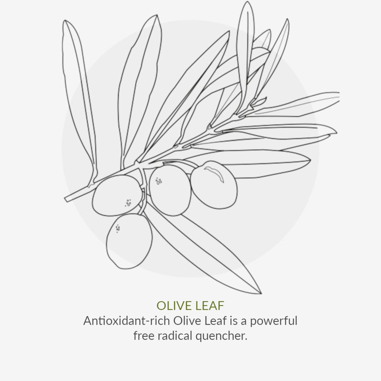 Toothpaste Peppermint & Aloe Vera 50ml - Green People - Toothpaste - Eco Natural Products