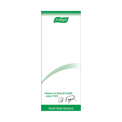 Tormentil Tincture 50ml - A. Vogel - Herbal Supplement - Eco Natural Products