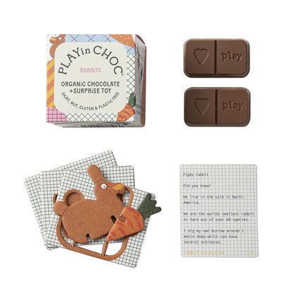 ToyChoc Box Rabbits 50g - PLAYin Choc - Chocolate gift - Eco Natural Products