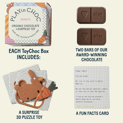 ToyChoc Box Rabbits 50g - PLAYin Choc - Chocolate gift - Eco Natural Products
