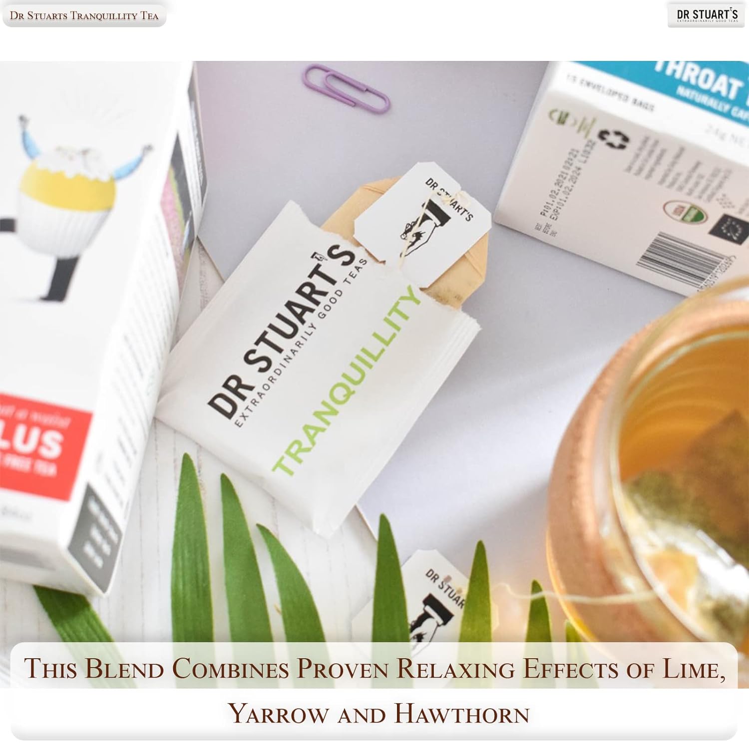 Tranquility Tea 15 Sachets - Dr Stuart's - Herbal tea - Eco Natural Products