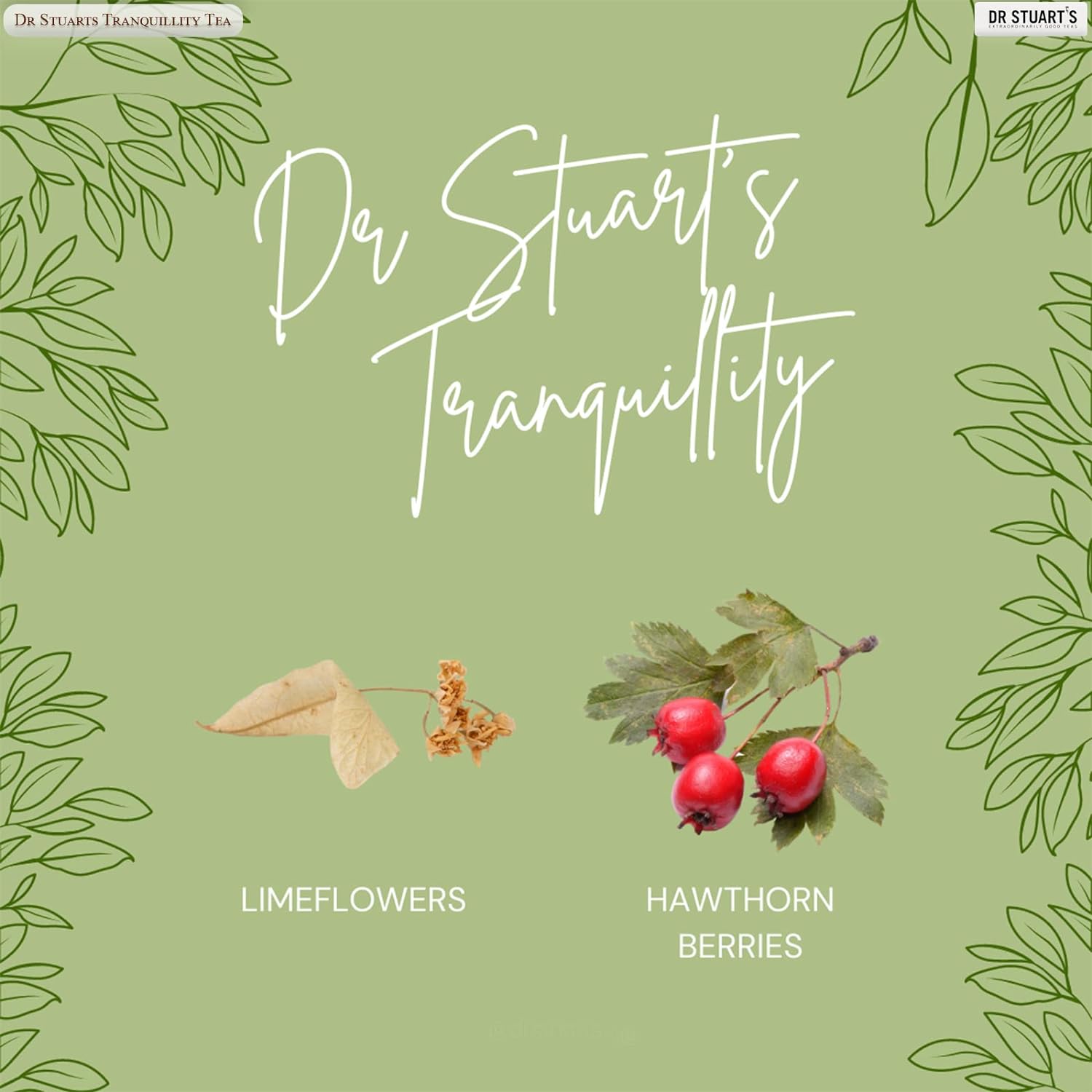 Tranquility Tea 15 Sachets [BLACK FRIDAY] - Eco Natural Products - Dr Stuart's - Herbal tea