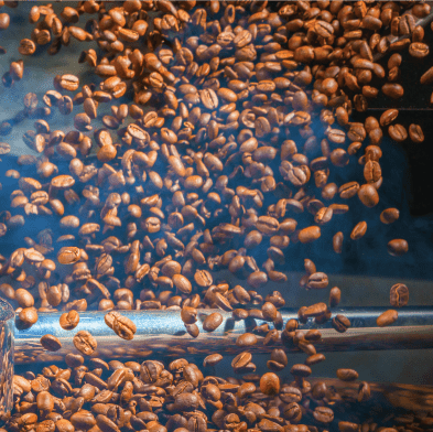 Ugandan Robusta Ground Coffee 227g - Blue Turaco - Coffee Beans & Ground Coffee - Blue Turaco