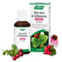 Uva Ursi and Echinacea Cystitis Drops 50ml - A. Vogel - Herbal Supplement - Eco Natural Products