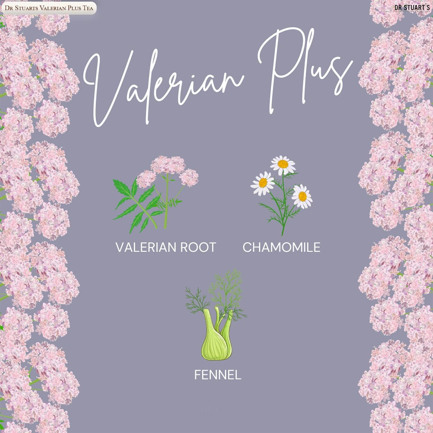 Valerian Plus Tea 15 Sachets - Dr Stuart's - Herbal tea - Eco Natural Products