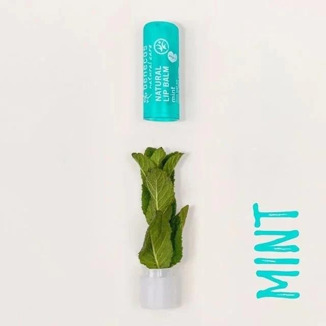 Vegan Lip Balm Mint 4,7g EXP 30.11.2025 - Benecos - Benecos