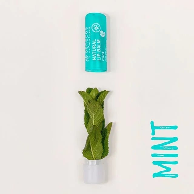 Vegan Mint Lip Balm 4.7g - Benecos - Lip Balms - Benecos