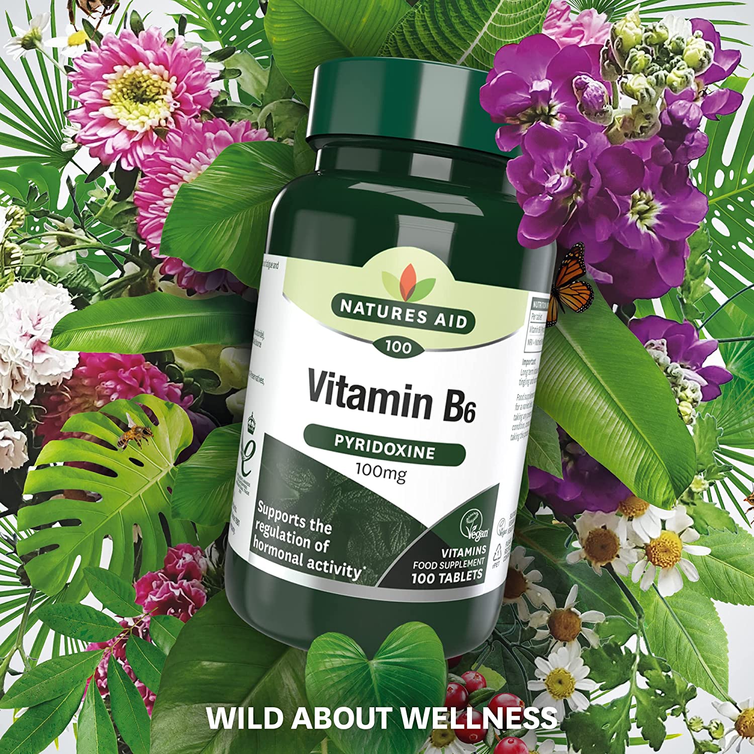 Vitamin B6 High Potency 100mg 100 Tablets - Natures Aid - Vitamins & Supplements - Eco Natural Products