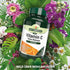 Vitamin C Time Release 1000mg 90 Tablets - Natures Aid - Vitamins & Supplements - Eco Natural Products