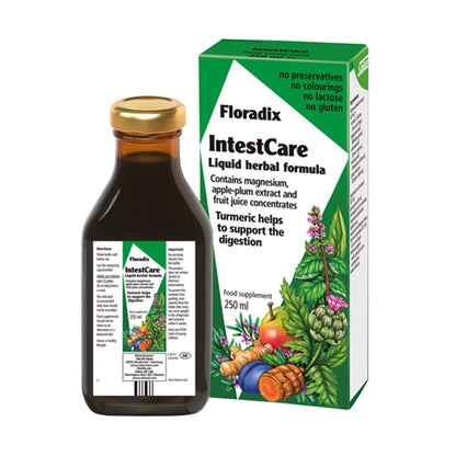 Vitamins IntestCare 250ml - Floradix - Food Supplement - Eco Natural Products