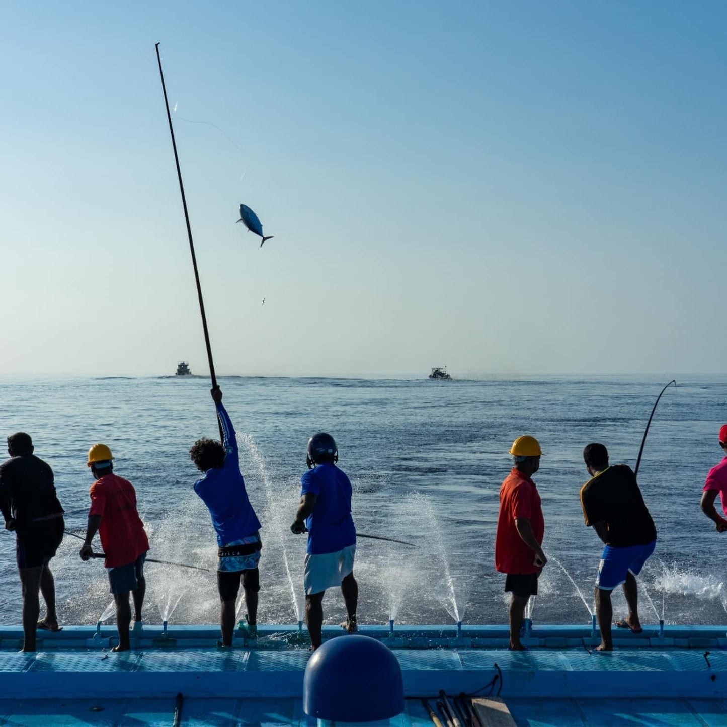 Whole Sardines in Organic Sunflower Oil 120g - Fish4Ever - Canned Food - Eco Natural Products