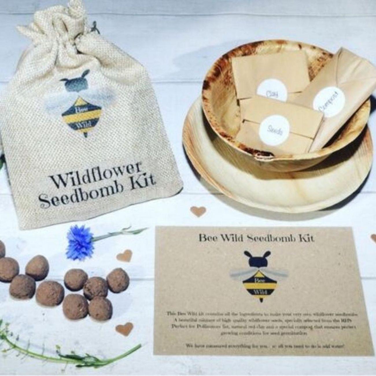 Wildflower Seedbomb Kit - Bee Wild - Seeds - Eco Natural Products