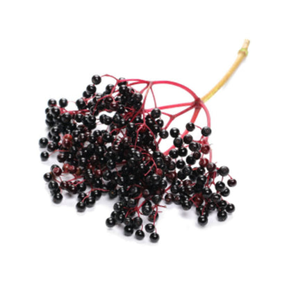 Winter Wellness Vitamin & Mineral 12 Lollipops - Healthipops - Sweets - Eco Natural Products