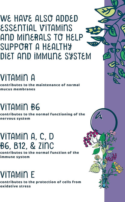 Winter Wellness Vitamin & Mineral 12 Lollipops - Healthipops - Sweets - Eco Natural Products