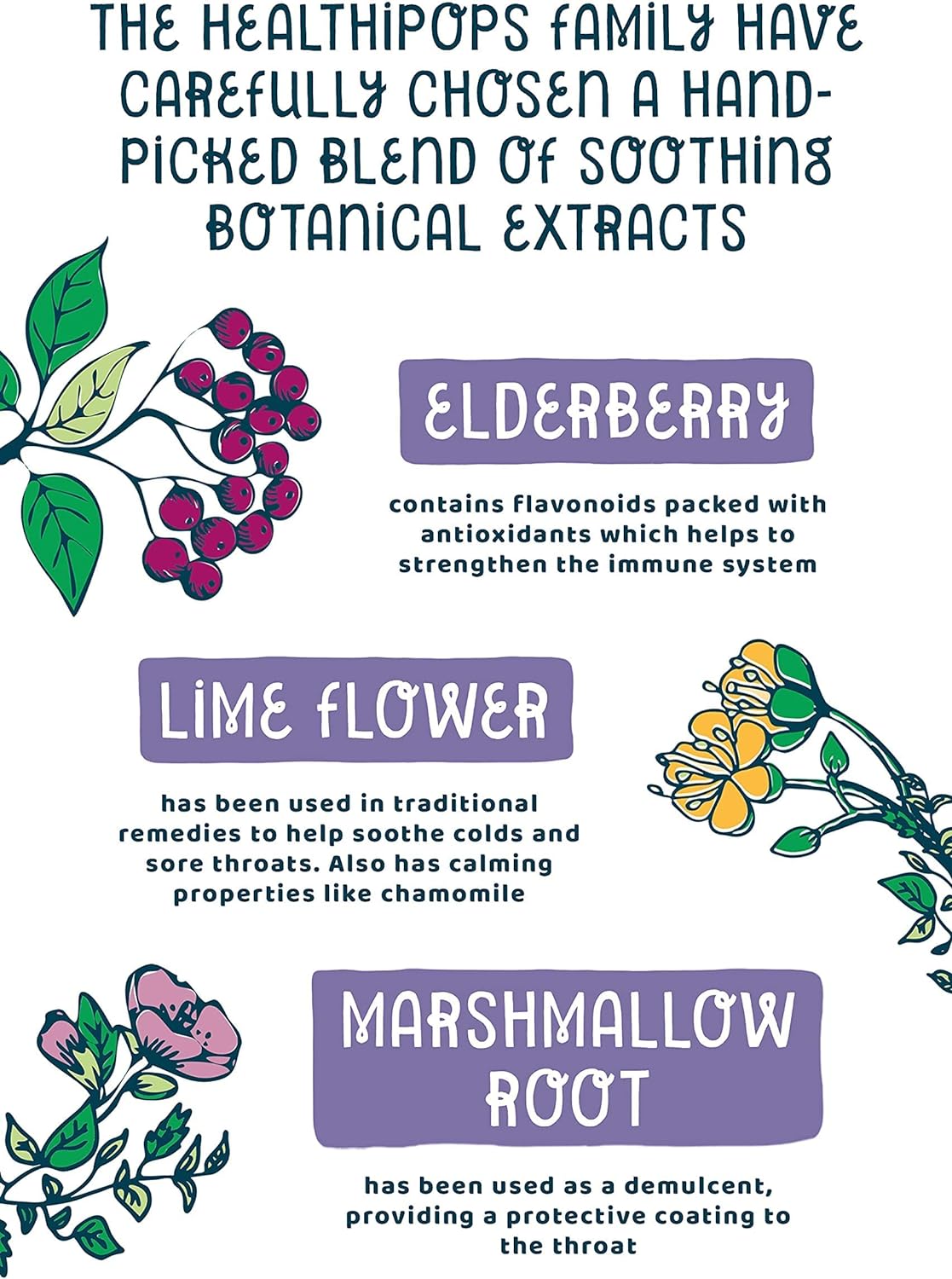 Winter Wellness Vitamin & Mineral 12 Lollipops - Healthipops - Sweets - Eco Natural Products