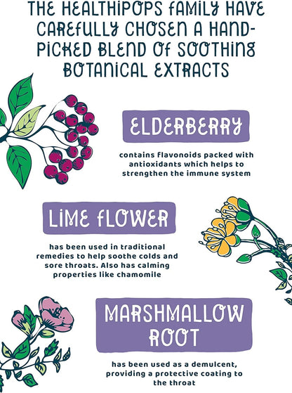 Winter Wellness Vitamin & Mineral 12 Lollipops - Healthipops - Sweets - Eco Natural Products