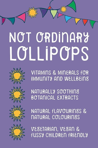 Winter Wellness Vitamin & Mineral 12 Lollipops - Healthipops - Sweets - Eco Natural Products