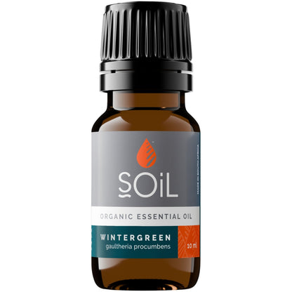 Wintergreen Oil 10ml - SOIL - Essential Oil - Eco Natural Products