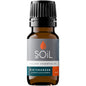 Wintergreen Oil 10ml - SOIL - Essential Oil - Eco Natural Products
