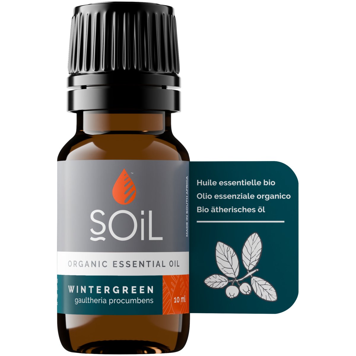 Wintergreen Oil 10ml - SOIL - Essential Oil - Eco Natural Products