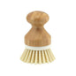 Wooden Vegetable Brush - Apollo - Brush - Eco Natural Products
