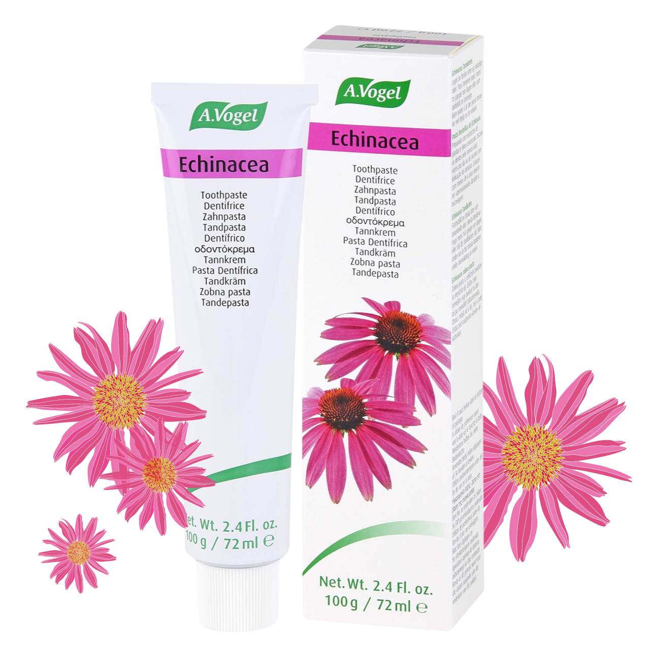 Echinacea Toothpaste 100g - A. Vogel - Toothpaste - Eco Natural Products