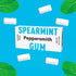 Xylitol English Spearmint Gum 15g - Peppersmith - Chewing Gum - Eco Natural Products