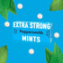 Xylitol Extra Strong Mints 15g - Peppersmith - Mints - Eco Natural Products