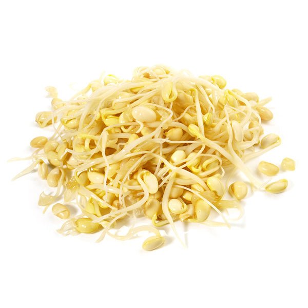 Your Flora Sensitive 60 Capsules - Living Nutrition - Food Supplement - Eco Natural Products