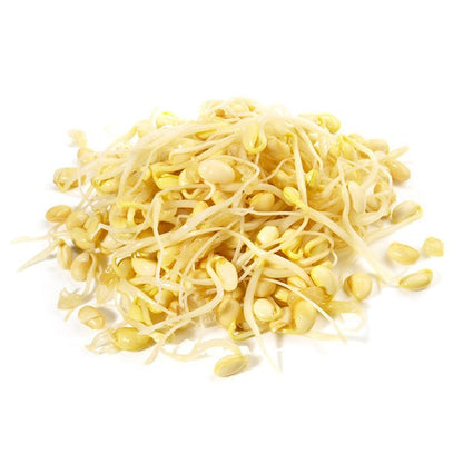 Your Flora Sensitive 60 Capsules - Living Nutrition - Food Supplement - Eco Natural Products