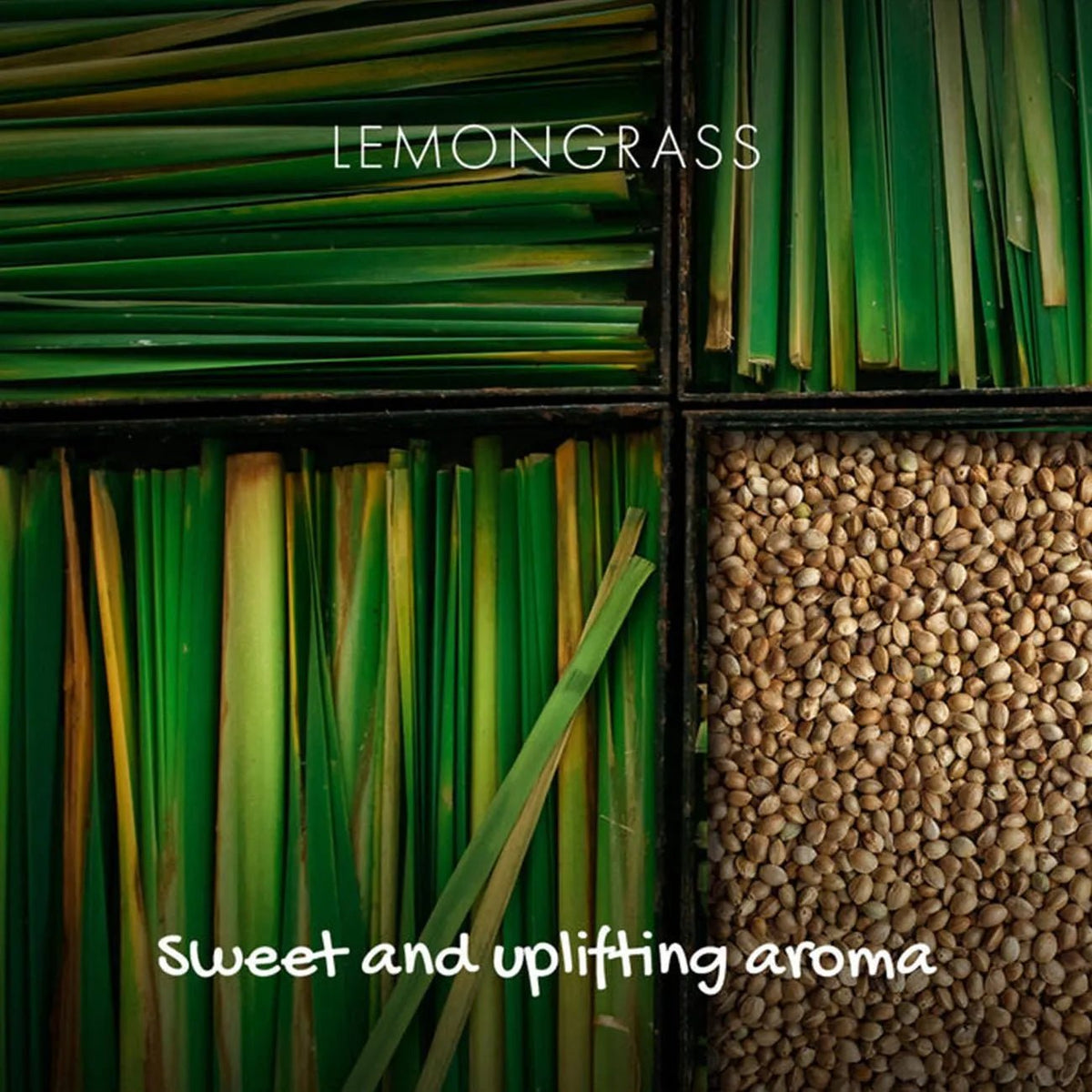 Zingy Lemongrass Soap On A Rope 125g - Friendly Soap - Bar Soap - Friendly Soap