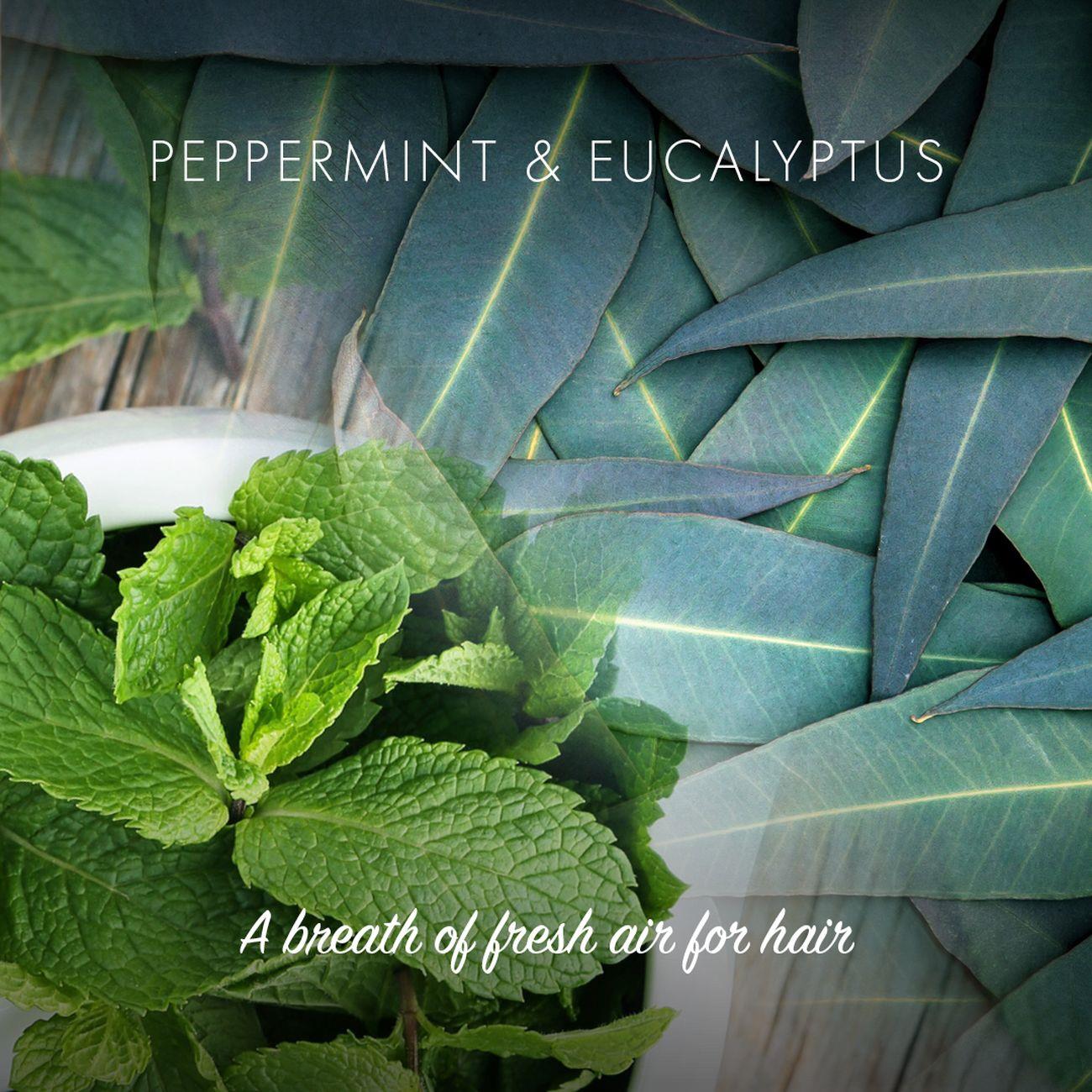 Peppermint & Eucalyptus Conditioner Bar 90g