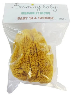 Organic Baby Sea Sponge Large