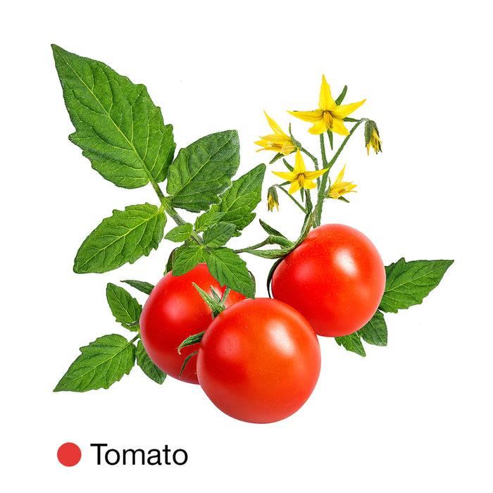 Tomato Grow Pack Refill