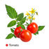 Tomato Grow Pack Refill