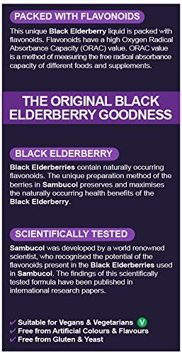 Black Elderberry Original Liquid 120ml